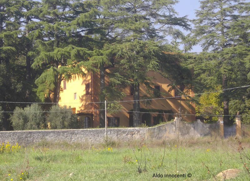 VILLA DI BARBATOLE 3